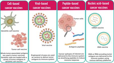 mRNA vaccines for cancer immunotherapy